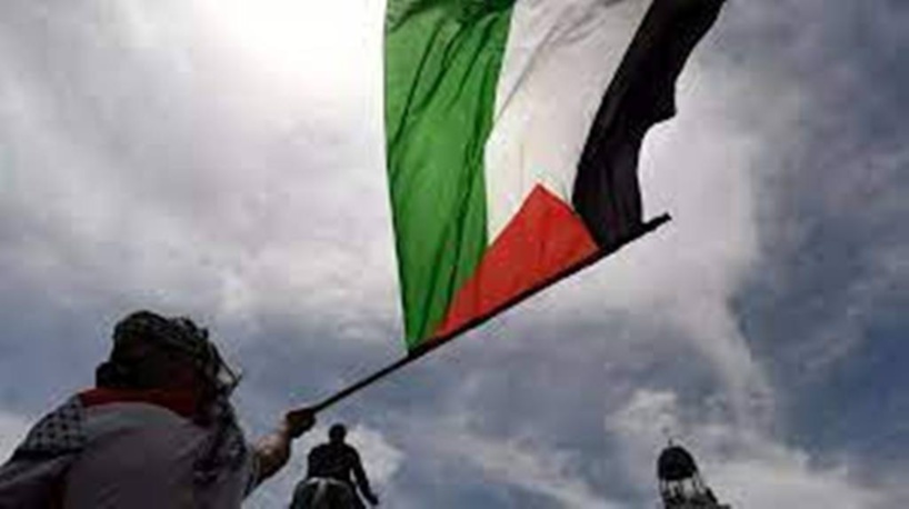 La bataille des Palestiniens contre un vocabulaire problématique La bataille des Palestiniens contre un vocabulaire problématique