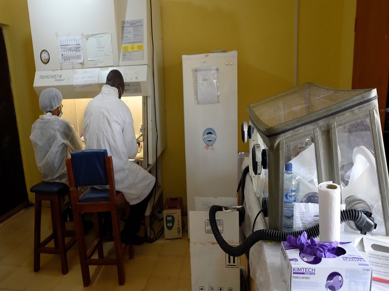 Epidémie de la fièvre Lassa en Guinée: les "annonces fortes" du Gouvernement...
