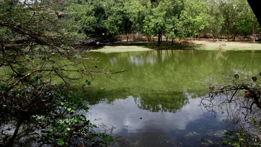 Morcellement de la Lagune de Mballing: Mbour se dresse encore !