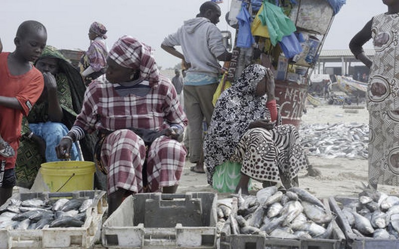 De grandes entreprises européennes complices de l'insécurité alimentaire en Afrique de l'Ouest, selon Greenpeace
