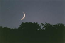 Ramadan 2013 : le croissant lunaire scruté ce soir