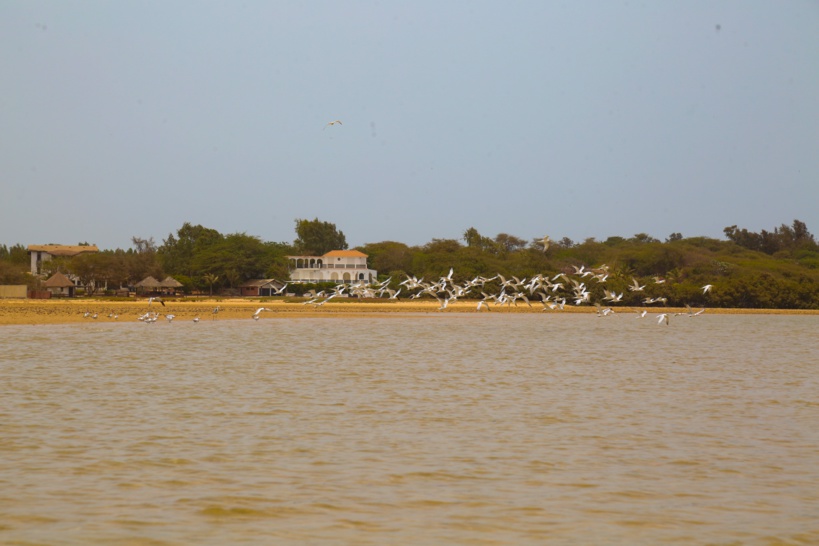 Aire Marine Protégée de Somone : LAS participe à la protection de la biodiversité et à la promotion de l’écotourisme