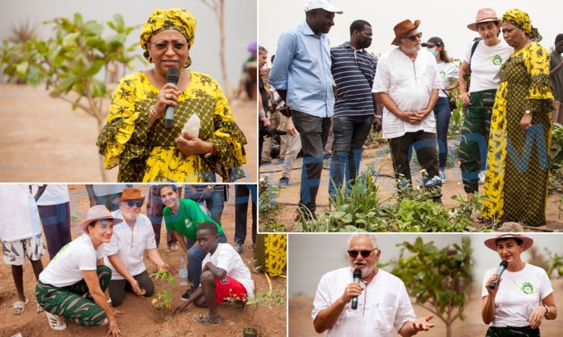 Ouakam: La première micro-forêt urbaine de Dakar inaugurée Ouakam: La première micro-forêt urbaine de Dakar inaugurée