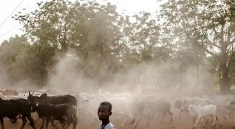 Nigeria: 53 personnes tuées par des voleurs de bétail dans le nord-ouest du pays