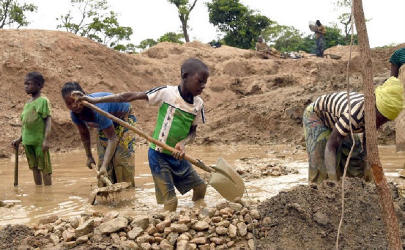 Sénégal : 20% des enfants sont utilisés dans la main d’œuvre (association)