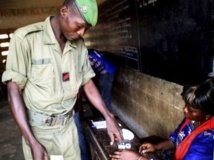 Togo: les forces de sécurité et de défense votent par anticipation