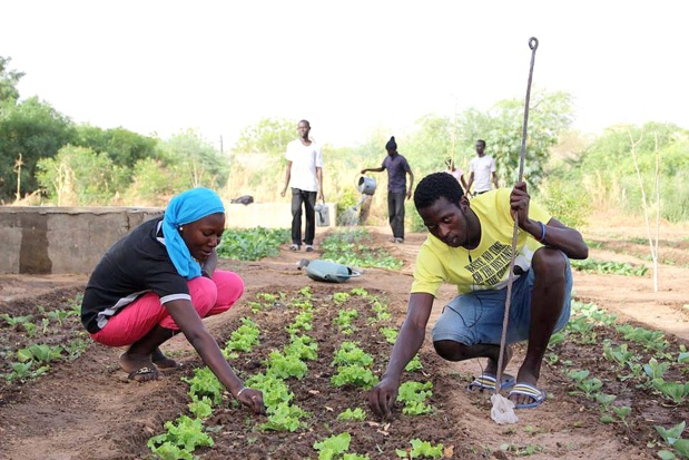 AECID et ANIDA organisent un forum virtuel sur l’agriculture familiale et l’agroécologie au Sénégal