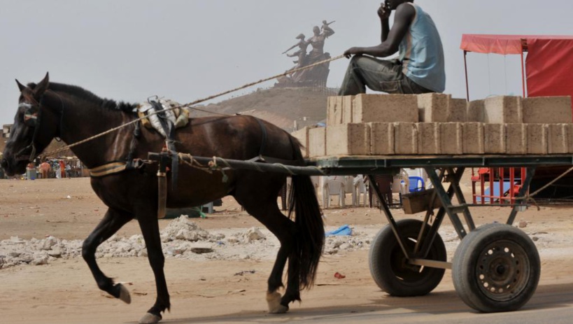 Soupçonnés d'avoir subtilisé les 6 millions d'un camionneur, les charretiers qui menaient grand train relaxés Soupçonnés d'avoir subtilisé les 6 millions d'un camionneur, les charretiers qui menaient grand train relaxés