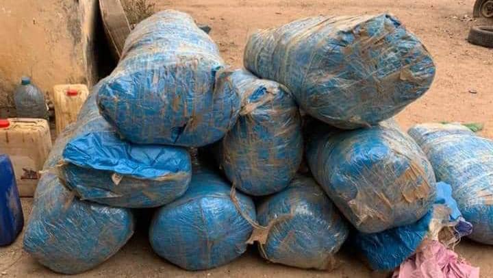 Diouloulou: 237 kilogrammes de chanvre saisis et deux trafiquants arrêtés par la gendarmerie 