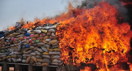 La Birmanie brûle pour un demi-milliard de dollars de drogue