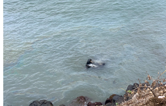 Corniche Ouest : une voiture finit sa course dans la mer