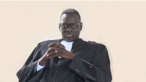 Me Abdou Dialy Kane, juge le réquisitoire contre les danseurs de Waly Seck trop sévère