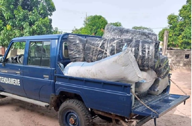 Saisie de 245 kg de chanvre indien par la gendarmerie de Thionck-Essyl