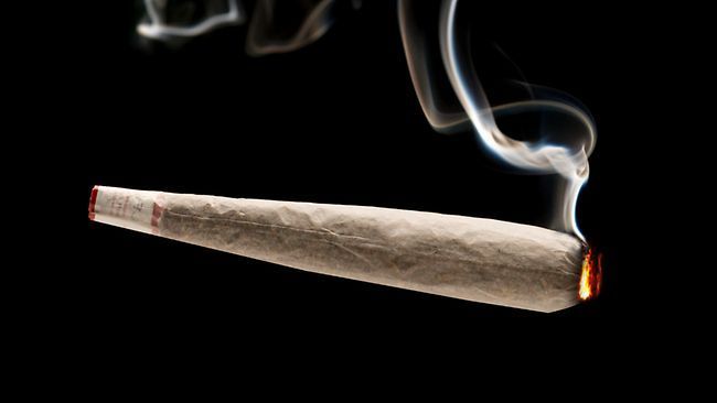 Après la police dans la drogue, la gendarmerie mêlée dans du chanvre indien