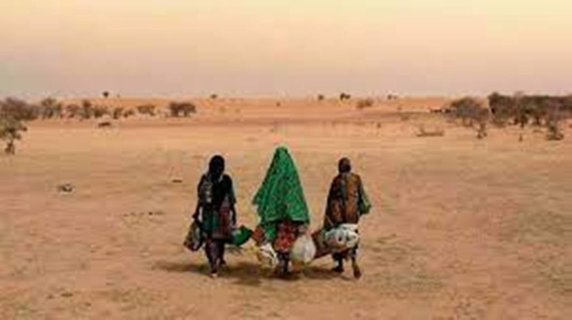 À Cannes, la dispendieuse industrie du cinéma se met au vert À Cannes, la dispendieuse industrie du cinéma se met au vert