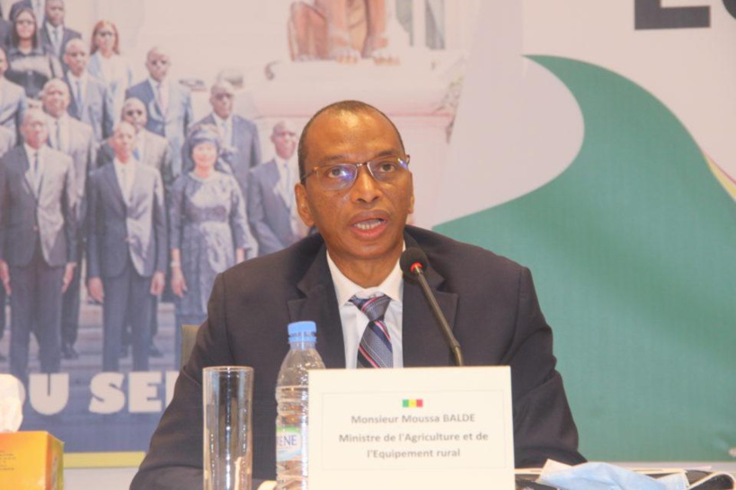 Agriculture : le SYNTTAS annonce une grève de la faim ce lundi Agriculture : le SYNTTAS annonce une grève de la faim ce lundi