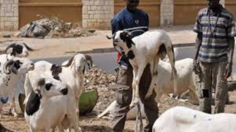Burkina Faso: sensibilisation au Covid-19 en pleine fête de la Tabaski