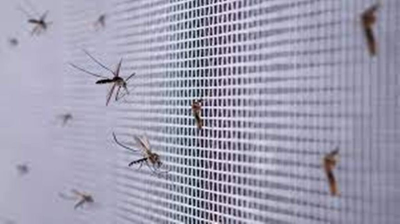 Inquiétude sur la recrudescence de paludisme au Tchad