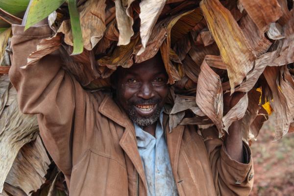 Les paysans burundais confrontés à la privatisation de la filière café