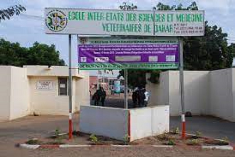 École Inter-États de Médecine Vétérinaire : Des étudiants renvoyés des salles d'examen à cause des arriérés de paiement