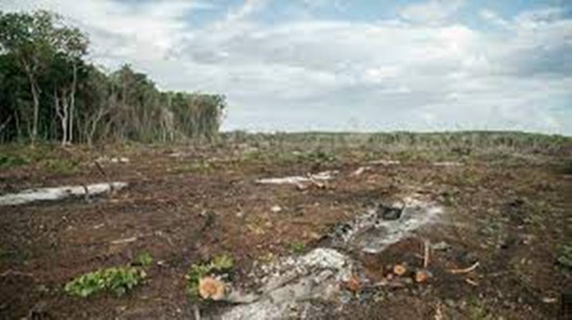 Les «signaux vitaux de la Terre» s'affaiblissent, alertent des scientifiques Les «signaux vitaux de la Terre» s'affaiblissent, alertent des scientifiques