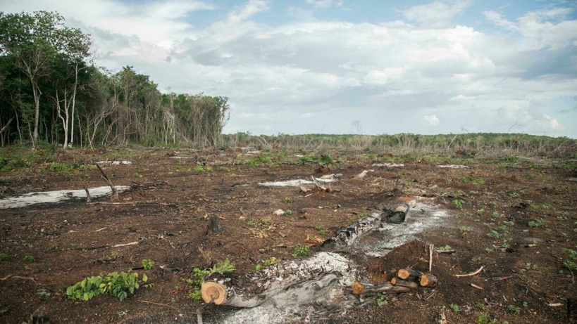 Les «signaux vitaux de la Terre» s'affaiblissent, alertent des scientifiques Les «signaux vitaux de la Terre» s'affaiblissent, alertent des scientifiques