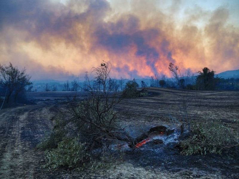 Turquie: trois morts dans un feu de forêt près d'un site touristique