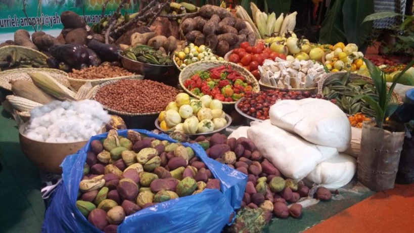 Commercialisation des produits agricoles: les Niayes réfléchissent sur des approches idoines Commercialisation des produits agricoles: les Niayes réfléchissent sur des approches idoines