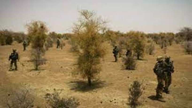 Mali: une cinquantaine de civils tués par des jihadistes dans le nord du pays