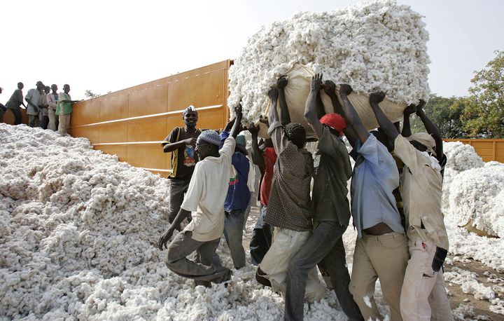 Le Mali veut retrouver sa place de premier producteur de coton en Afrique