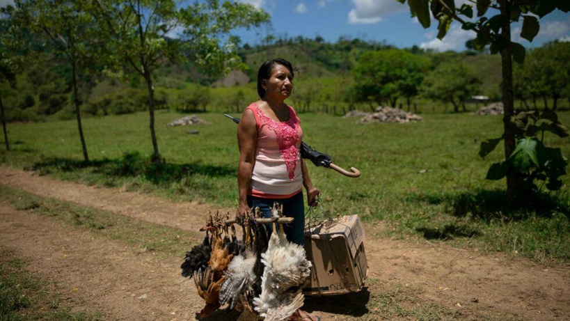 La moitié de la population mondiale vit sans protection sociale La moitié de la population mondiale vit sans protection sociale