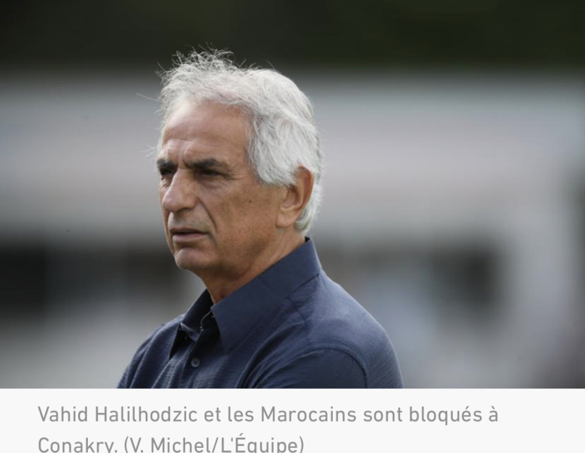 Vahid Halilhodzic, sélectionneur du Maroc, bloqué en Guinée : « On entend des coups de feu » Vahid Halilhodzic, sélectionneur du Maroc, bloqué en Guinée : « On entend des coups de feu »