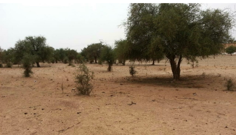 Terrorisme au Niger: le président Bazoum à Tillabéry avec les personnes revenues au village