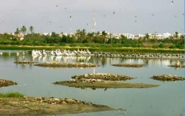 Arène nationale au technopôle: Wetlands International alerte à nouveau sur les conséquences et exige la délocalisation du projet