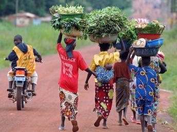 Toute la région de Bossangoa, au nord-ouest de la Centrafrique, est sous la menace d’une guerre interreligieuse. AFP/LIONEL HEALING