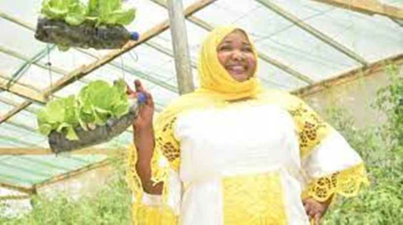 L'hydroponie, une solution pour les villes africaines L'hydroponie, une solution pour les villes africaines