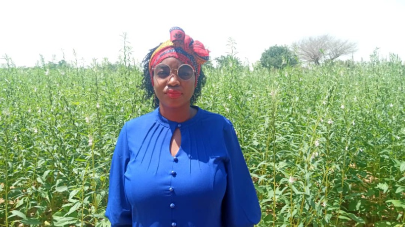 «Les variétés de cycles courts sont une réponse au changement climatique », selon Dr Abdou Tenkouano, Directeur du CORAF «Les variétés de cycles courts sont une réponse au changement climatique », selon Dr Abdou Tenkouano, Directeur du CORAF