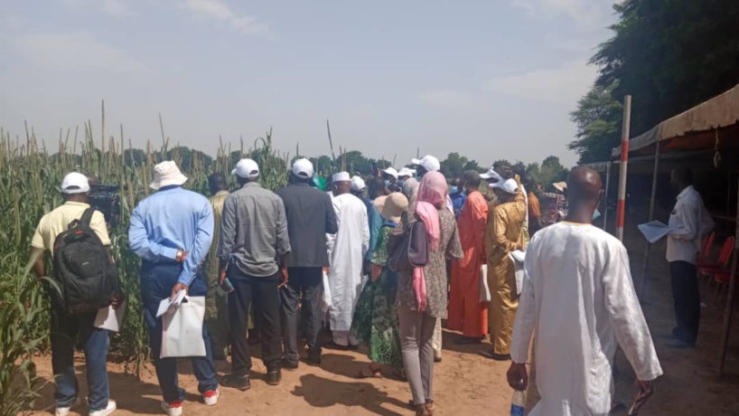 «Les variétés de cycles courts sont une réponse au changement climatique », selon Dr Abdou Tenkouano, Directeur du CORAF «Les variétés de cycles courts sont une réponse au changement climatique », selon Dr Abdou Tenkouano, Directeur du CORAF