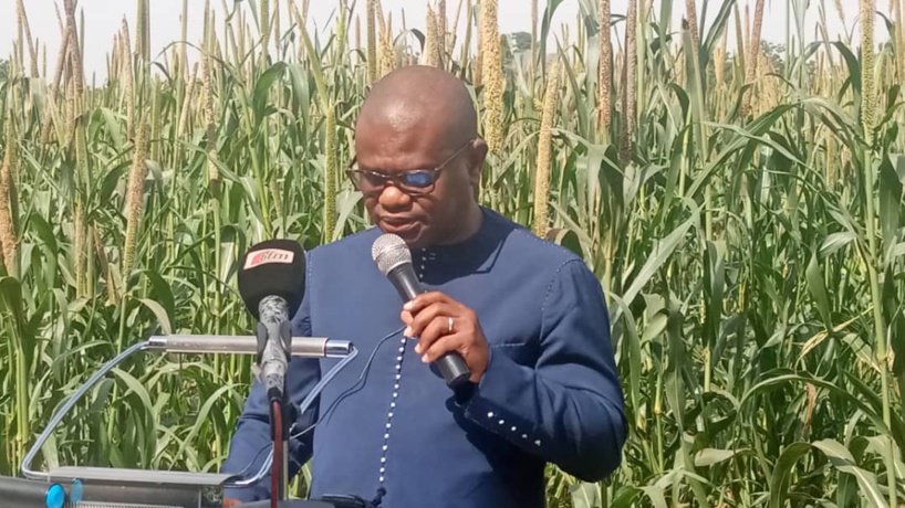 «Les variétés de cycles courts sont une réponse au changement climatique », selon Dr Abdou Tenkouano, Directeur du CORAF «Les variétés de cycles courts sont une réponse au changement climatique », selon Dr Abdou Tenkouano, Directeur du CORAF