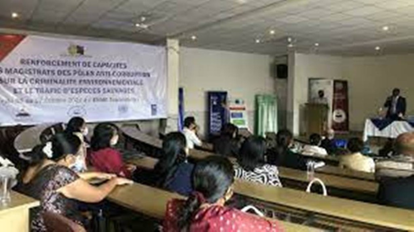 Madagascar: une réunion de magistrats pour réfléchir sur les crimes contre l'environnement Madagascar: une réunion de magistrats pour réfléchir sur les crimes contre l'environnement