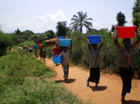 Mbacké : Sadio passe une tabaski sans eau, de plus 35 périmètres maraichères menacés
