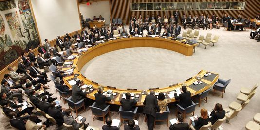 Conseil de sécurité de l’ONU : Tchad et Nigéria parmi les membres non-permanents