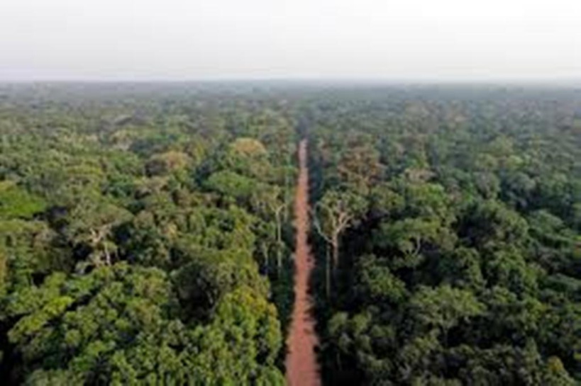 RDC: la déforestation au menu du conseil des ministres RDC: la déforestation au menu du conseil des ministres