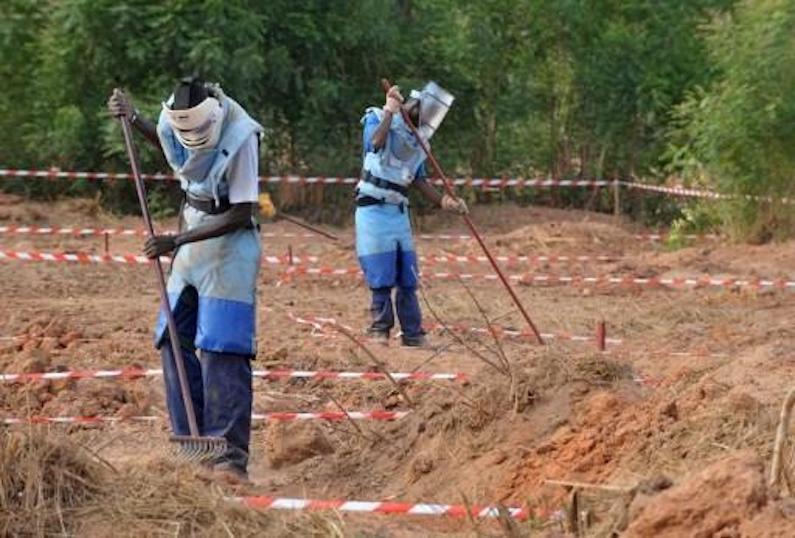 Bignona: quatre (4) morts dans un accident de mine antipersonnel à Kandiadiou