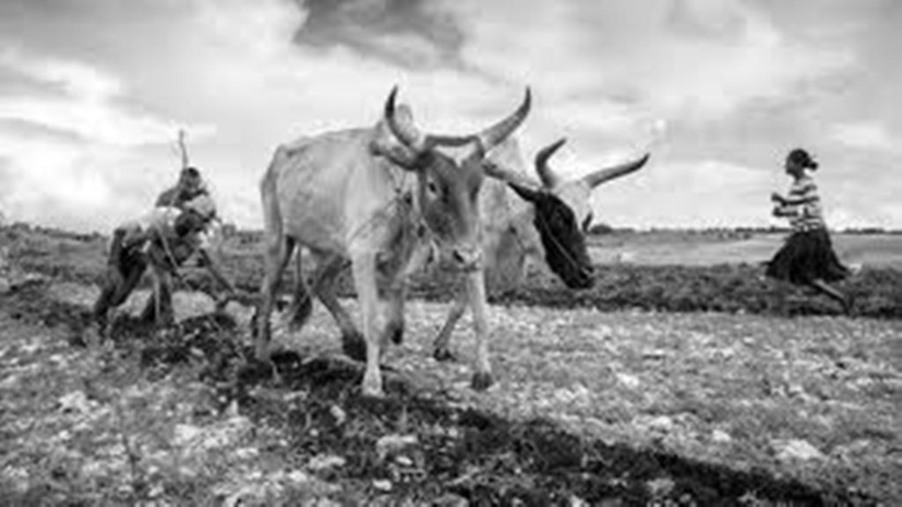 À Madagascar, «à cause de la sécheresse, plus d'un million de personnes sont au bord de la famine» À Madagascar, «à cause de la sécheresse, plus d'un million de personnes sont au bord de la famine»