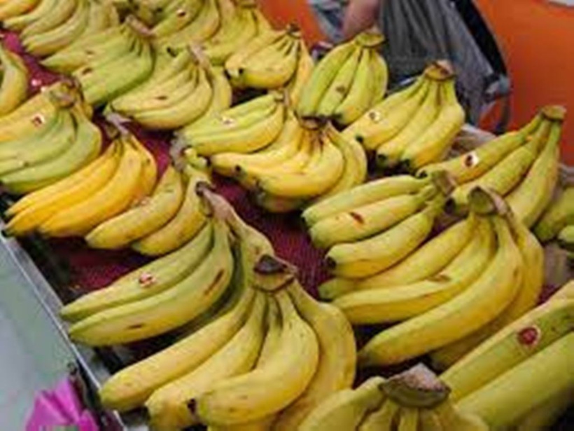 Turquie : des réfugiés syriens expulsés pour des sketches sur des bananes Turquie : des réfugiés syriens expulsés pour des sketches sur des bananes