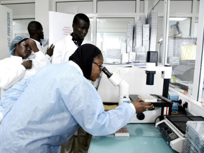 Séquençage et Analyse des données Sars-CoV-2: l'Institut Pasteur de Dakar forme des médecins de 15 pays Séquençage et Analyse des données Sars-CoV-2: l'Institut Pasteur de Dakar forme des médecins de 15 pays