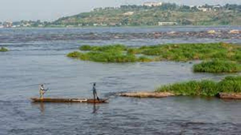 Le Congo-Brazzaville se lance dans la plantation de 40 000 hectares de forêts à Ngo Le Congo-Brazzaville se lance dans la plantation de 40 000 hectares de forêts à Ngo