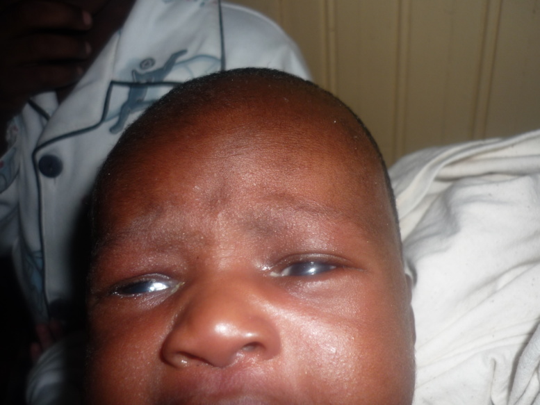 Ce beau bébé abandonné à Nord-foire