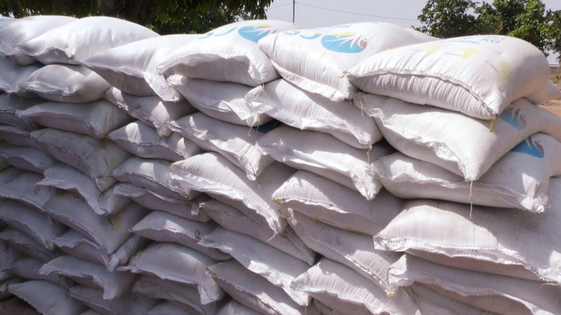  La Fondation PAD au chevet des Daaras d’excellence du Sénégal. La Fondation PAD au chevet des Daaras d’excellence du Sénégal.